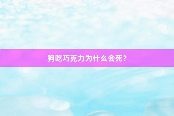 狗吃巧克力为什么会死？